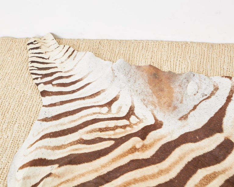 Authentic African Zebra Hide Carpet Rug at 1stDibs