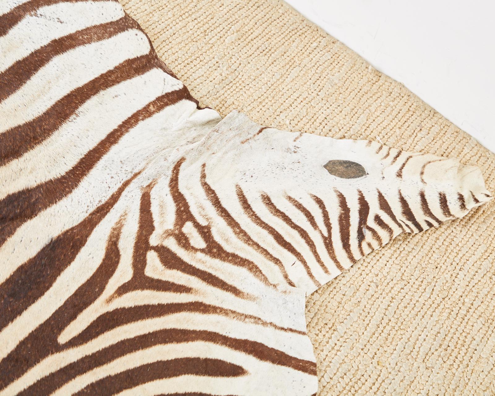 Authentic African Zebra Hide Carpet Rug 2