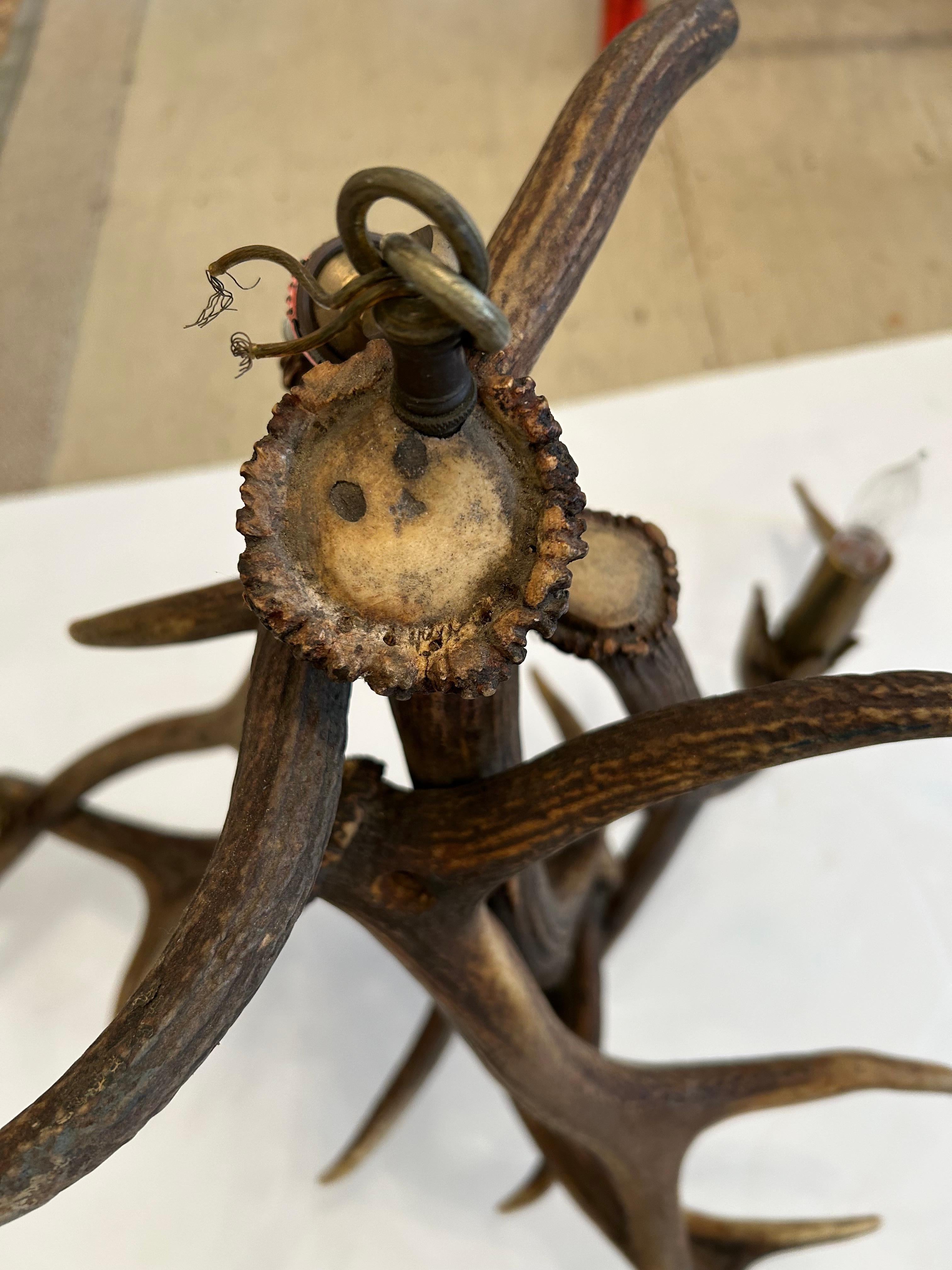 Authentic Antler Chandelier with Wonderful Shape For Sale 1