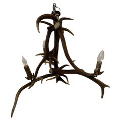 Authentic Antler Chandelier with Wonderful Shape