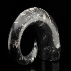 Authentic Belemnite Fossil Sculpture from Morocco
