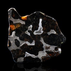 Authentique Tranche de Météorite Pallasite de Brenham - 24g Fer Nickel Matrix