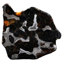 Authentique Tranche de Météorite Pallasite de Brenham - 24g Fer Nickel Matrix