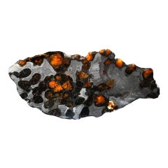 Authentic Brenham Pallasite Meteorite Slice – 59g Translucent Olivine Crystals