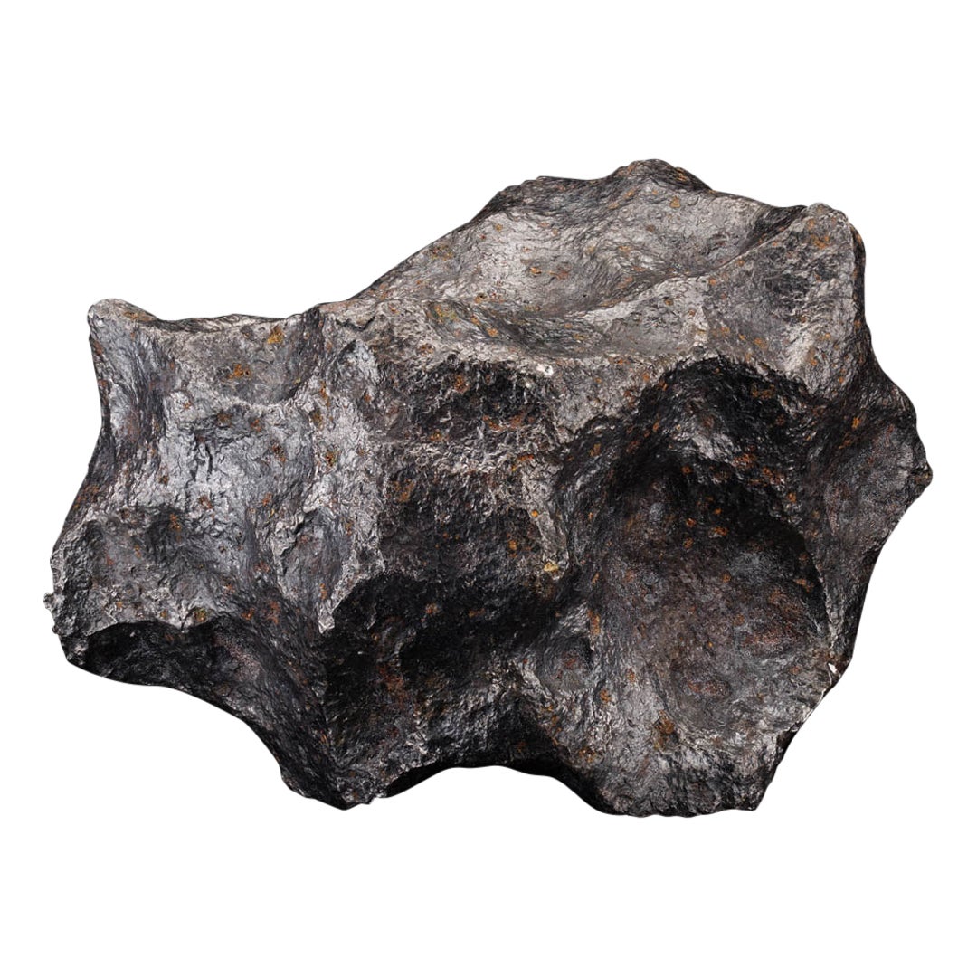Authentic Campo del Cielo – 18.6 lb Iron Meteorite For Sale