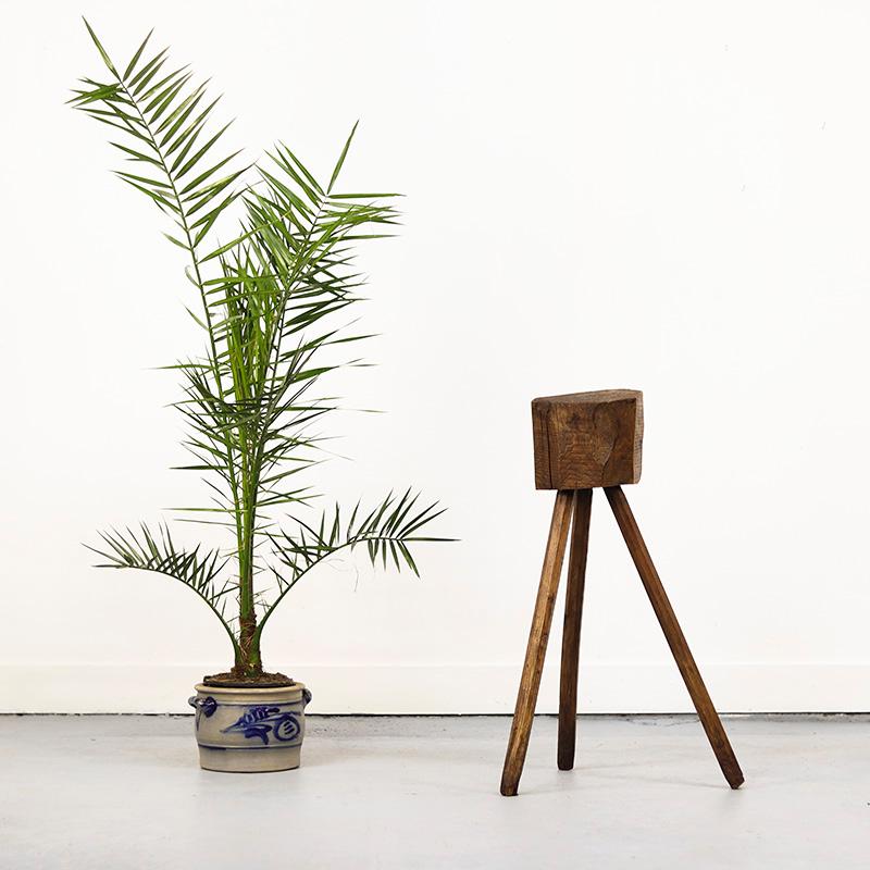 Quercia Autentico tagliere francese Wabi-Sabi / Primitivo in Wood in vendita