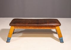Authentic industrial leather Gym bench, 1950s, Czechoslovakia