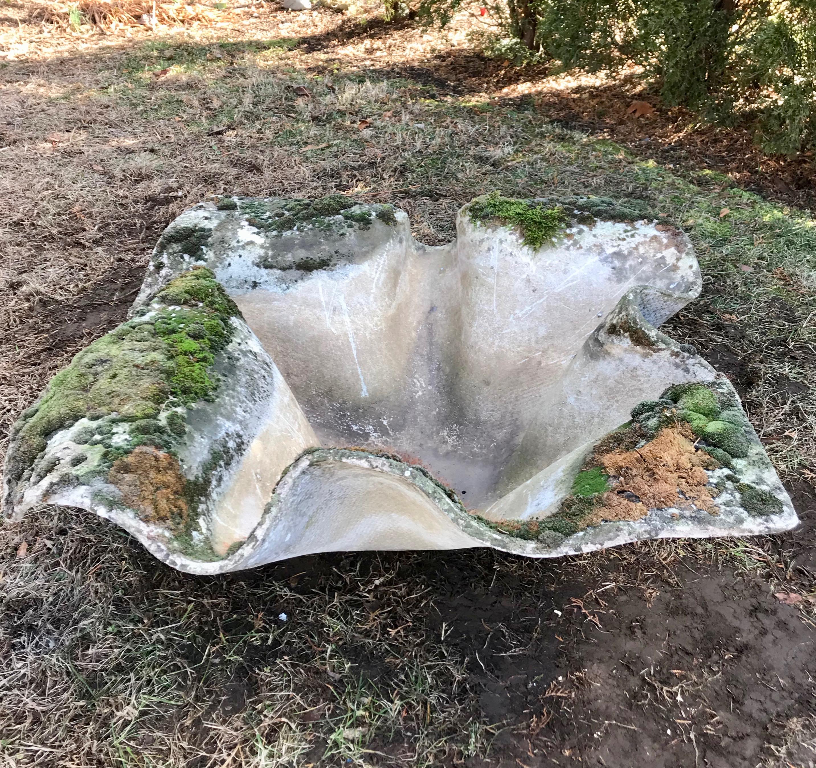 elephant ear bird bath