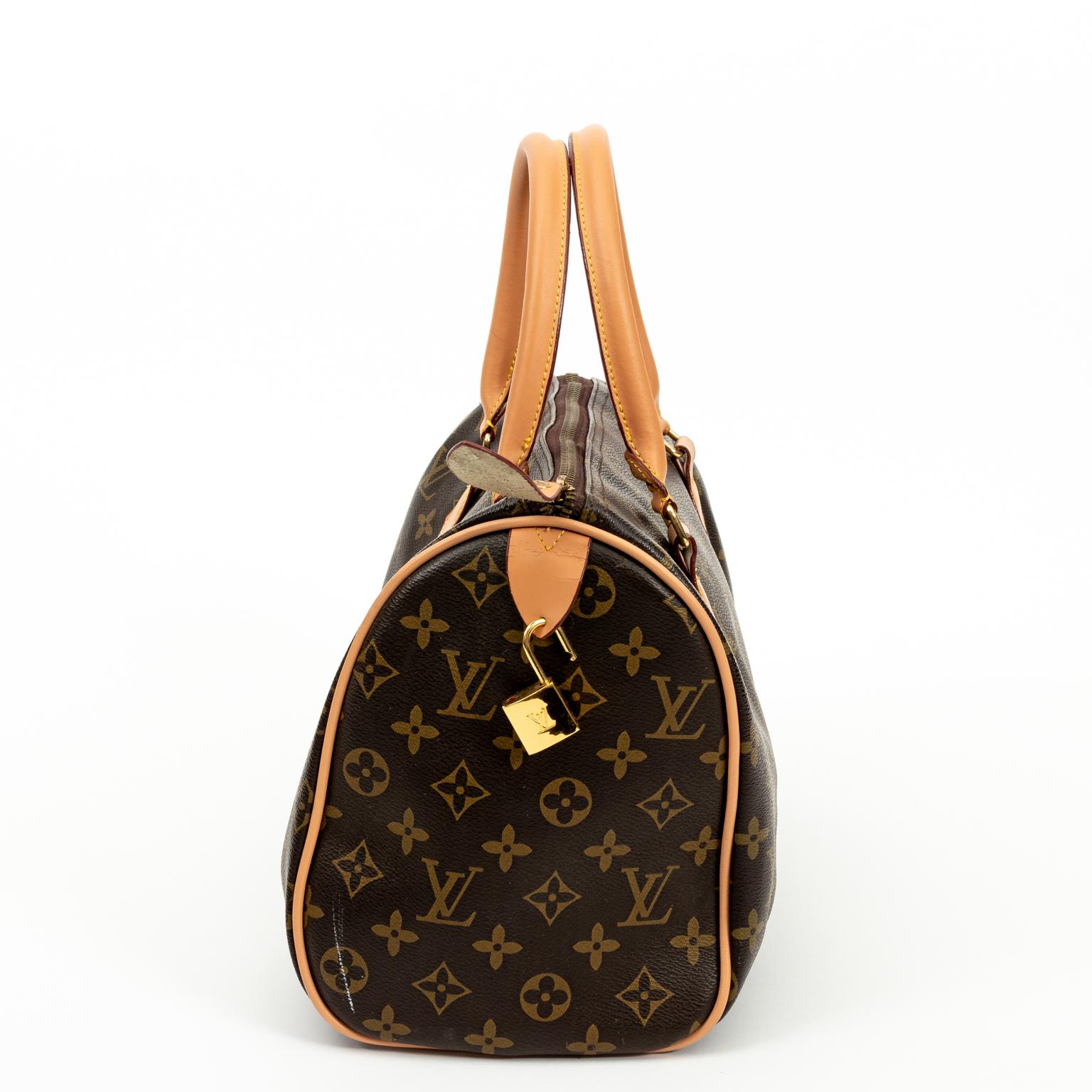 Canvas Authentic Louis Vuitton Handbag