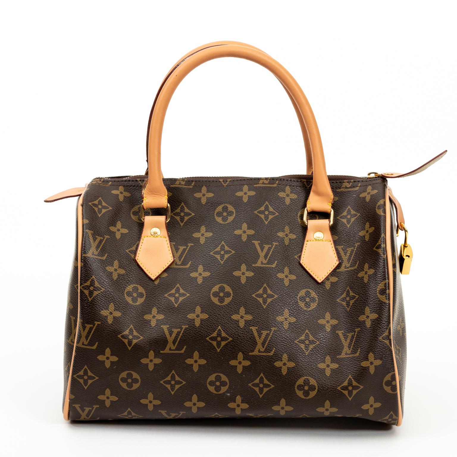 Authentic Louis Vuitton Handbag 1