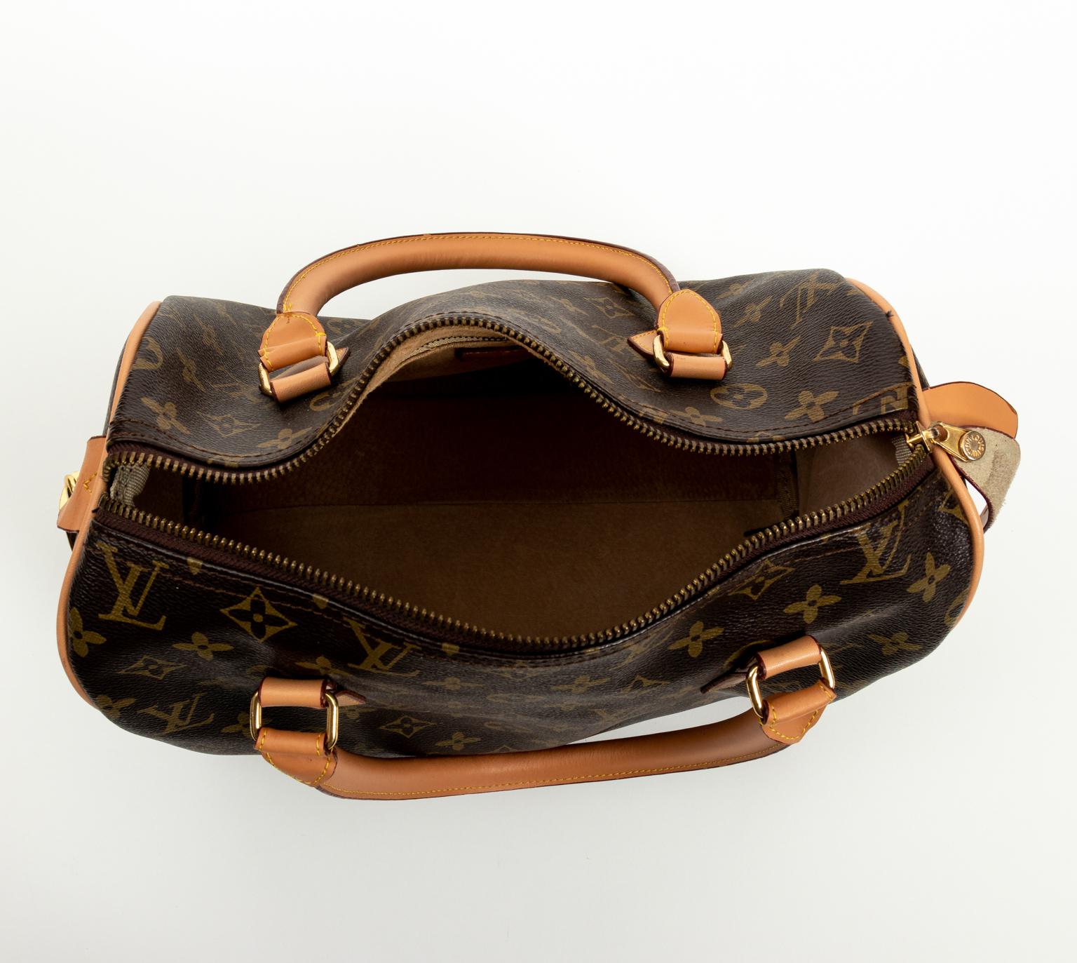 Authentic Louis Vuitton Handbag 3