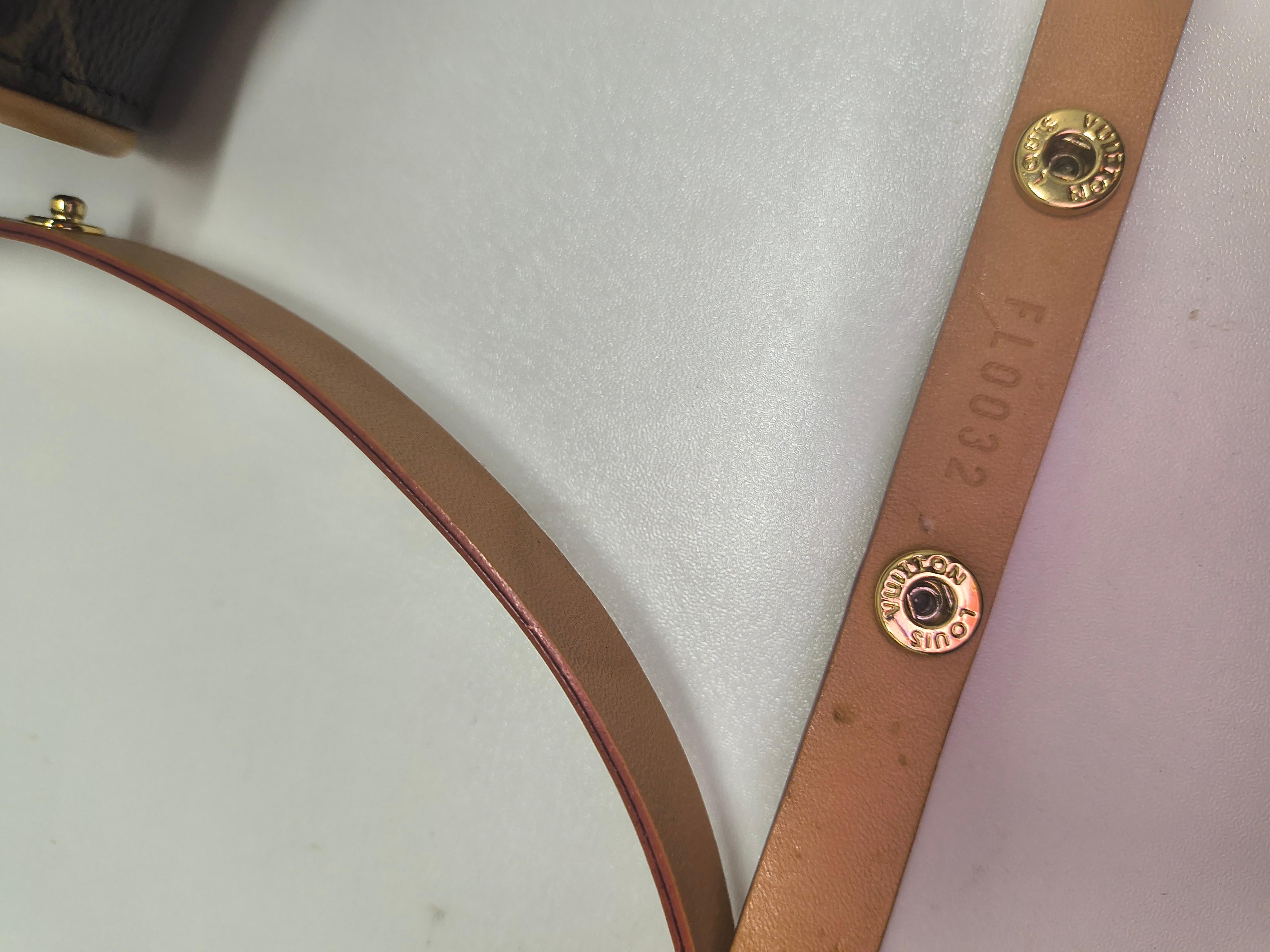 Women's Authentic Louis Vuitton Monogram Pochette Florentine Waist Bag M51855