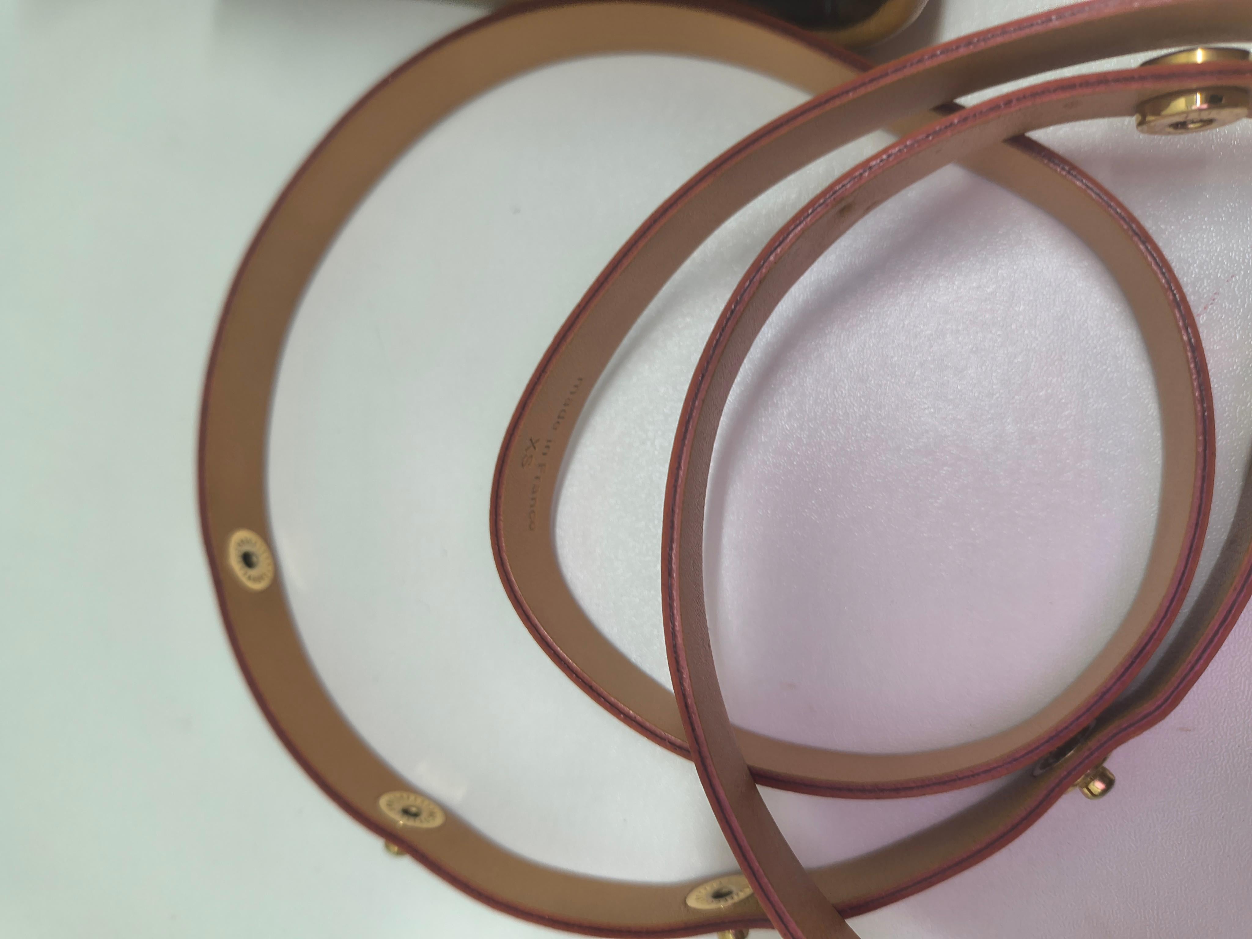 Authentic Louis Vuitton Monogram Pochette Florentine Waist Bag M51855 1