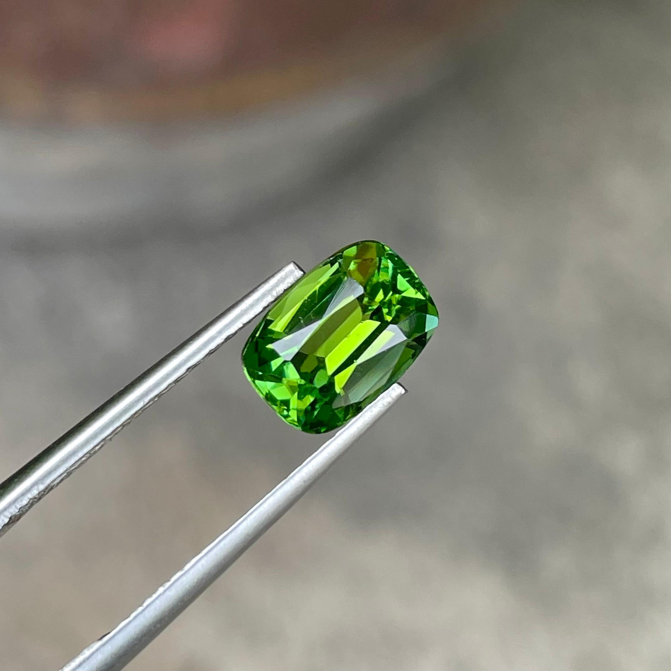 Weight 2.0 carats 
Dimensions 9.0 x 6.4 x 4.8 mm
Treatment None 
Origin Nigeria 
Clarity Eye Clean 
Shape Cushion 
Cut Fancy Cushion 



Discover the allure of an Authentic Mint Green Tourmaline, a true natural wonder from Nigeria. This exquisite