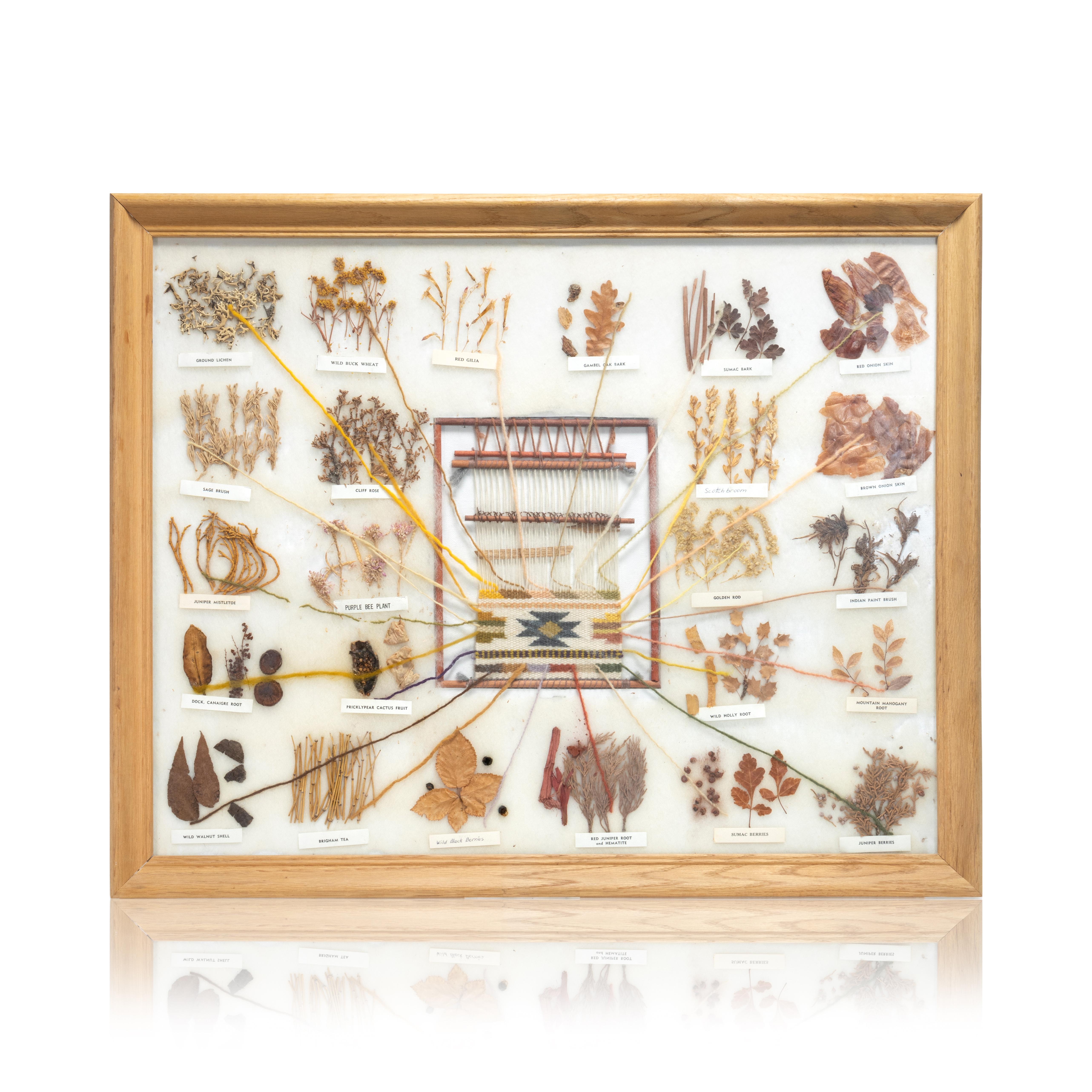 Collection encadrée de teintures amérindiennes utilisées pour la confection de tissages. Collectional authentique avec chaque colorant étiqueté (diverses plantes, abeilles, broussailles, écorces, légumes). Les tisserands teignent la laine pour créer