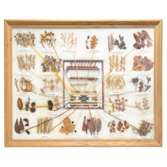 Authentic Native American Rug Dyes