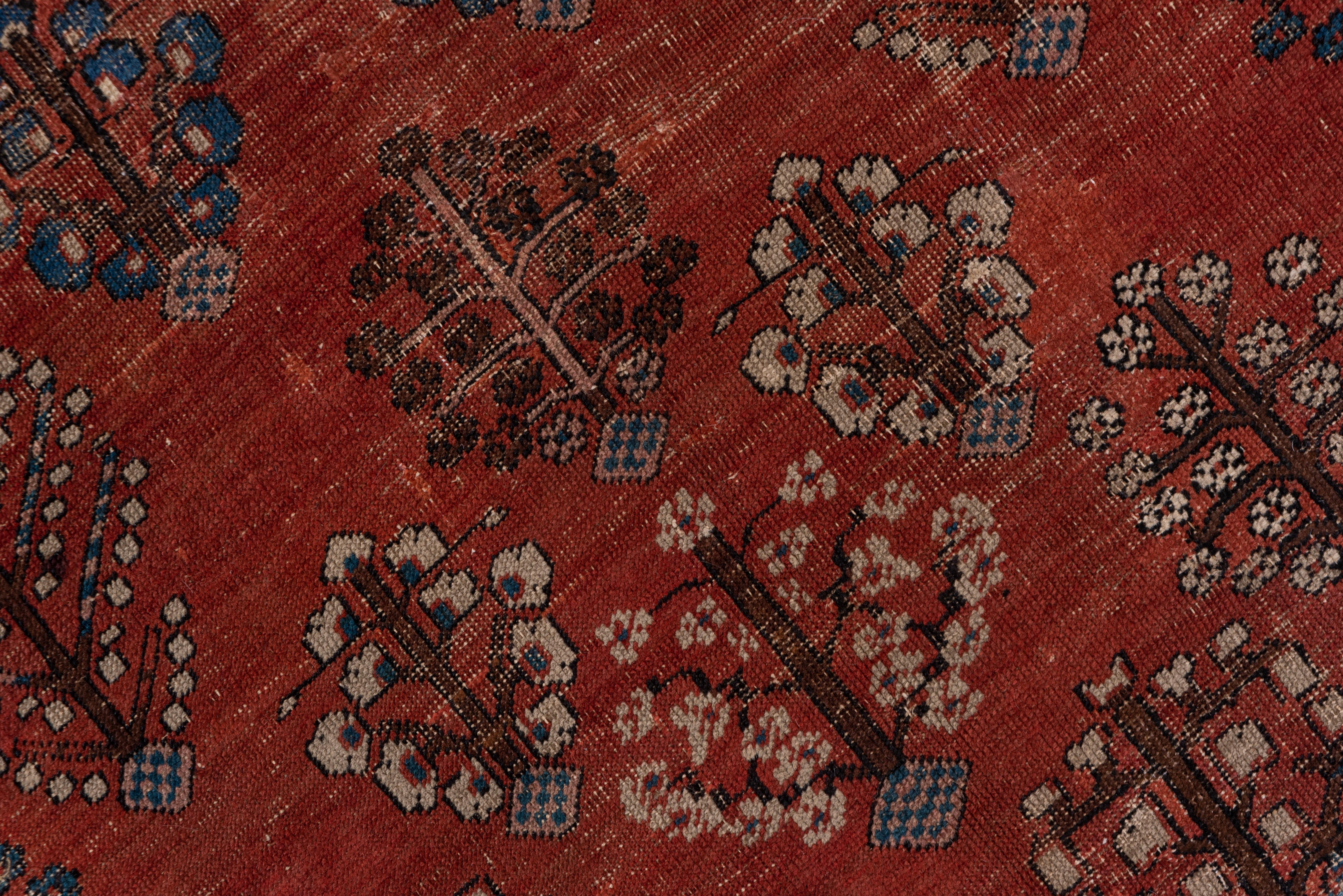 Late 19th Century Authentic Persian Bakhshayesh Carpet, Amazing Colors, Zanabaki Border