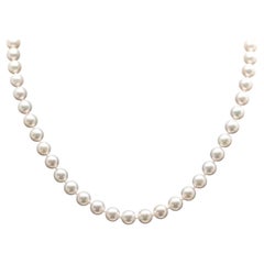 Authentic Tiffany & Co. Akoya Pearl Necklace 18K Solid Gold Clasp