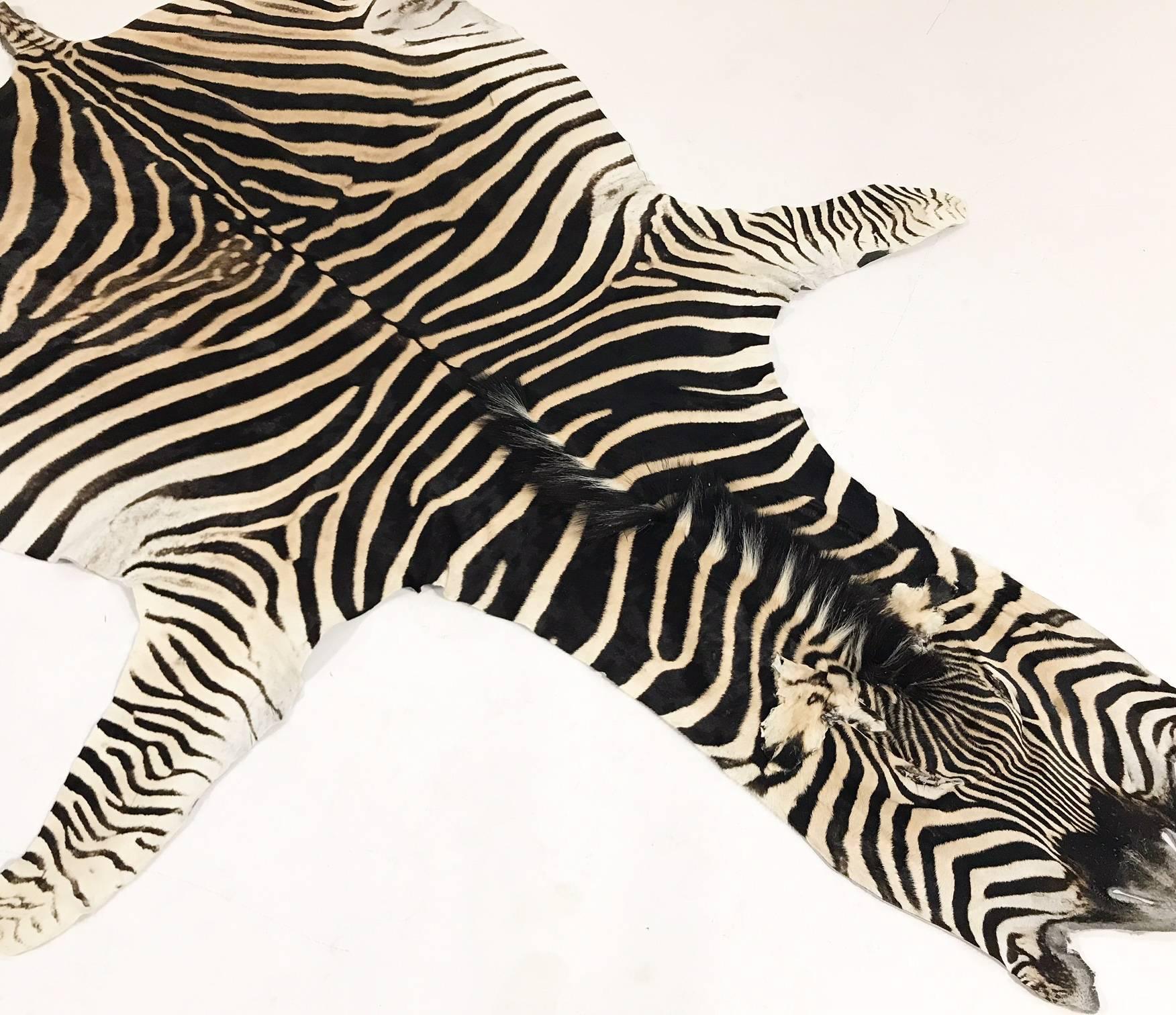 Zebra hides are hand selected with a critical eye for their one-of-a-kind coloring, stripe patterns, and natural markings by our team. Each hide is unique and meets our high standards of hair quality, tanning excellence, and size. Zebra hide rugs