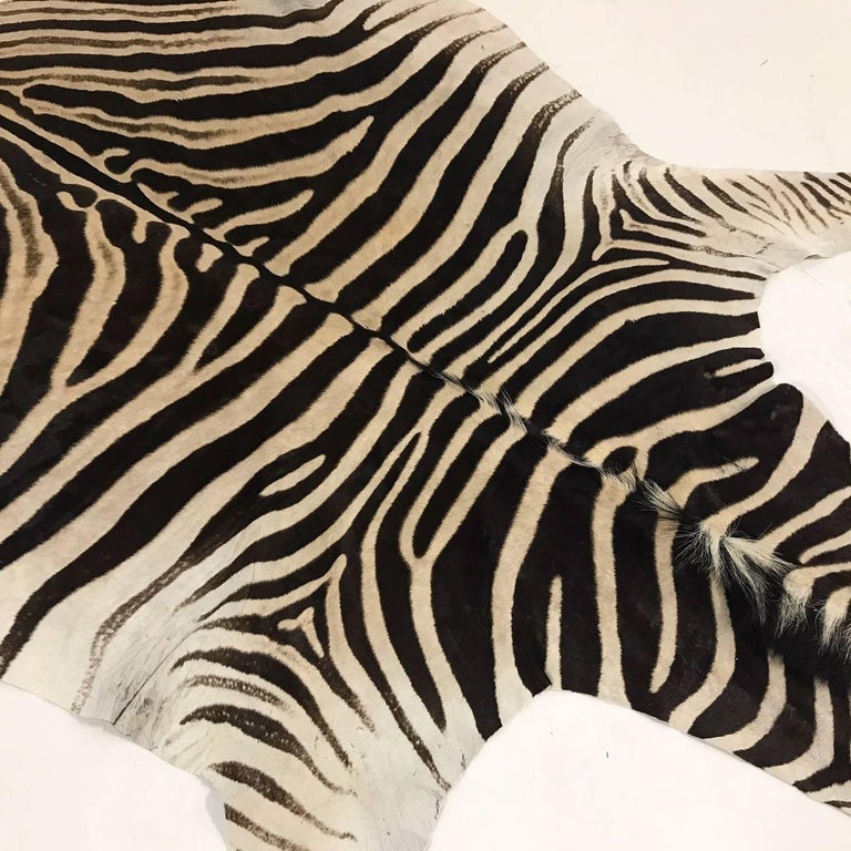Authentic Zebra Hide Rug at 1stDibs