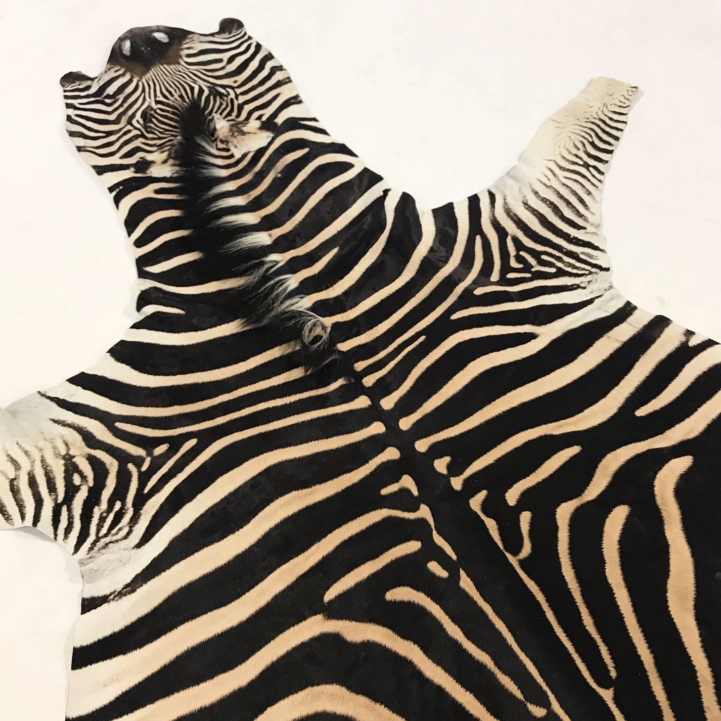 Authentic Zebra Hide Rug at 1stDibs