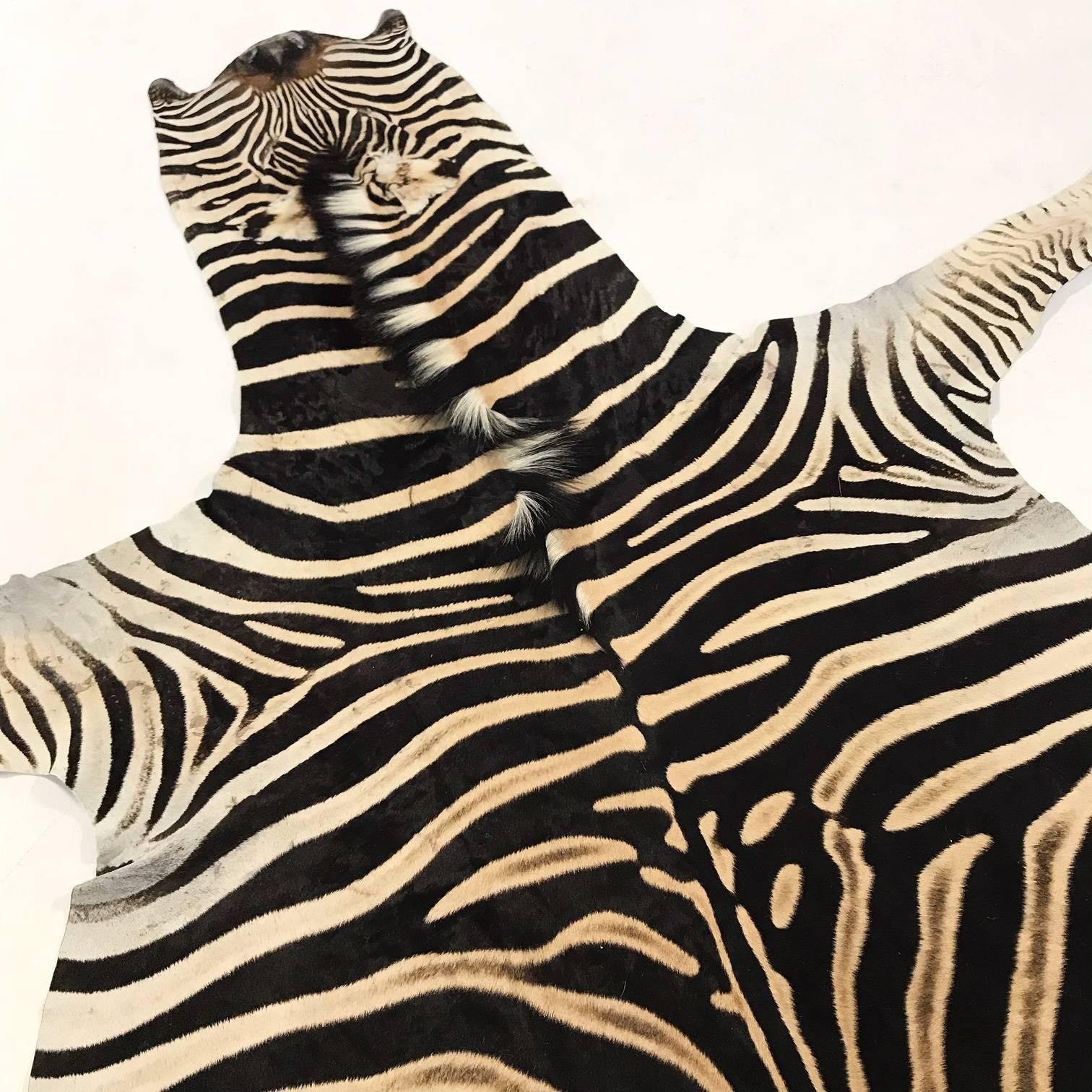 Zebra hides are hand selected with a critical eye for their one-of-a-kind coloring, stripe patterns, and natural markings by our team. Each hide is unique and meets our high standards of hair quality, tanning excellence, and size. Zebra hide rugs