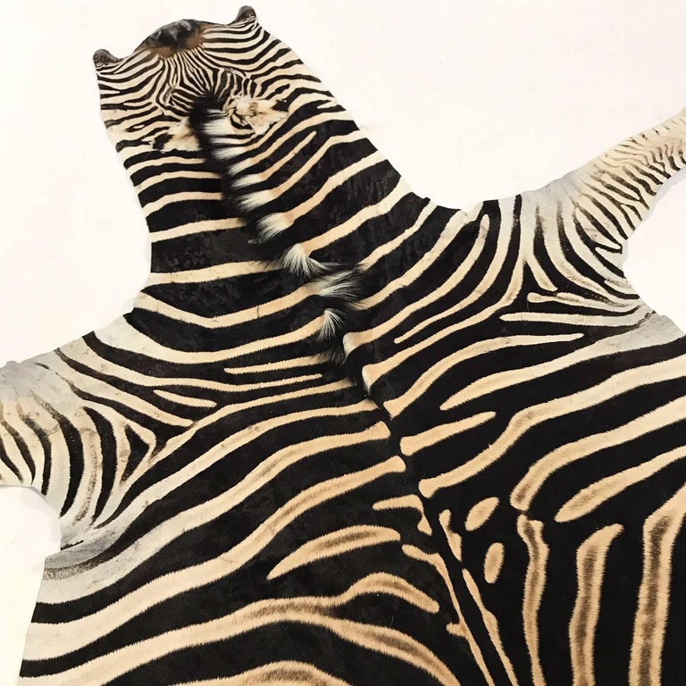 Authentic Zebra Hide Rug at 1stDibs