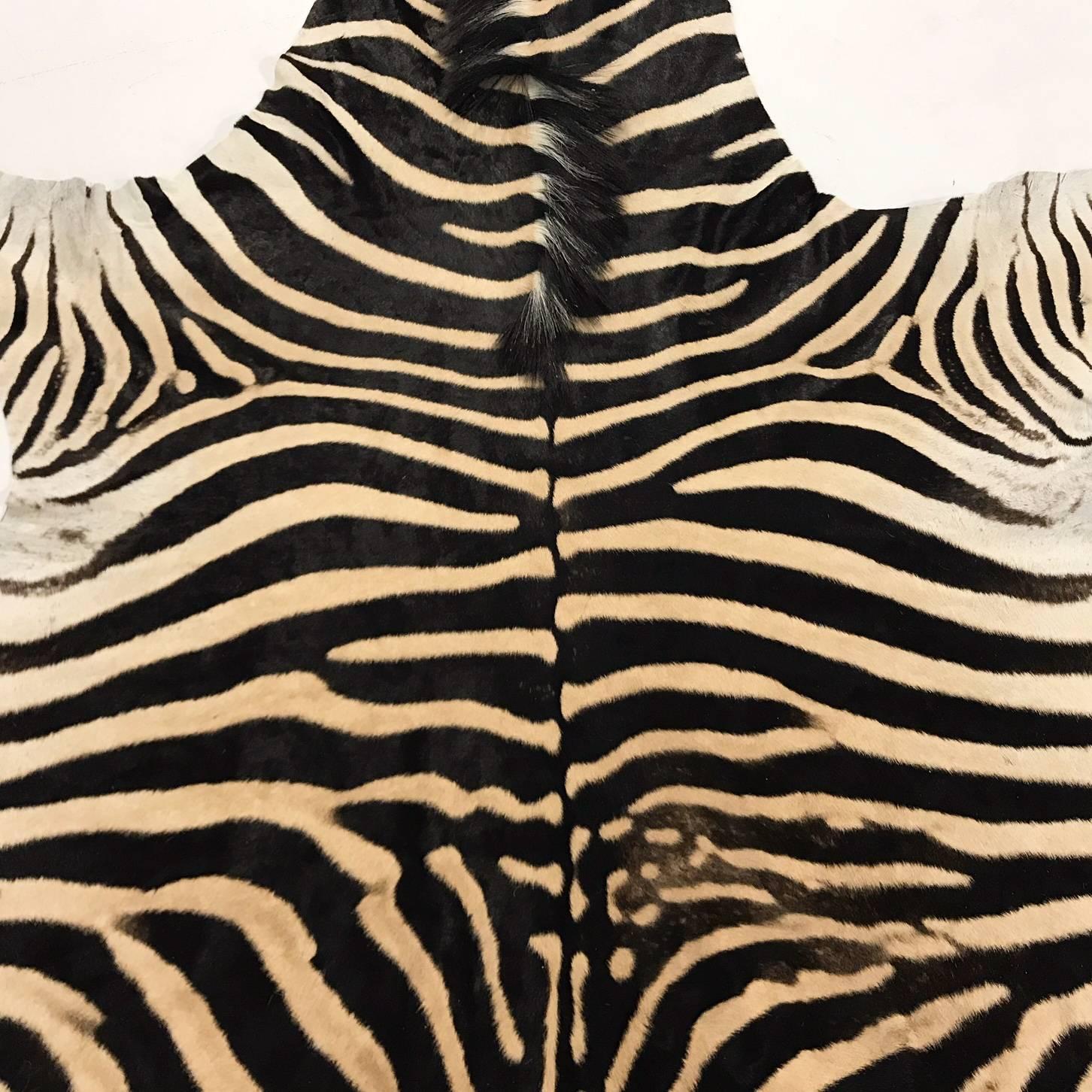 South African Authentic Zebra Hide Rug