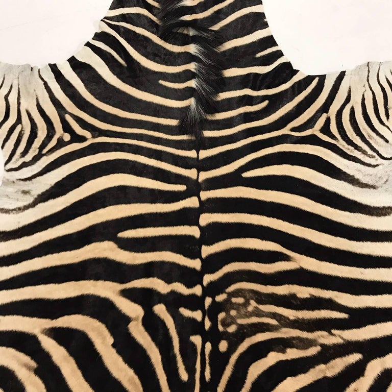 Authentic Zebra Hide Rug For Sale at 1stdibs