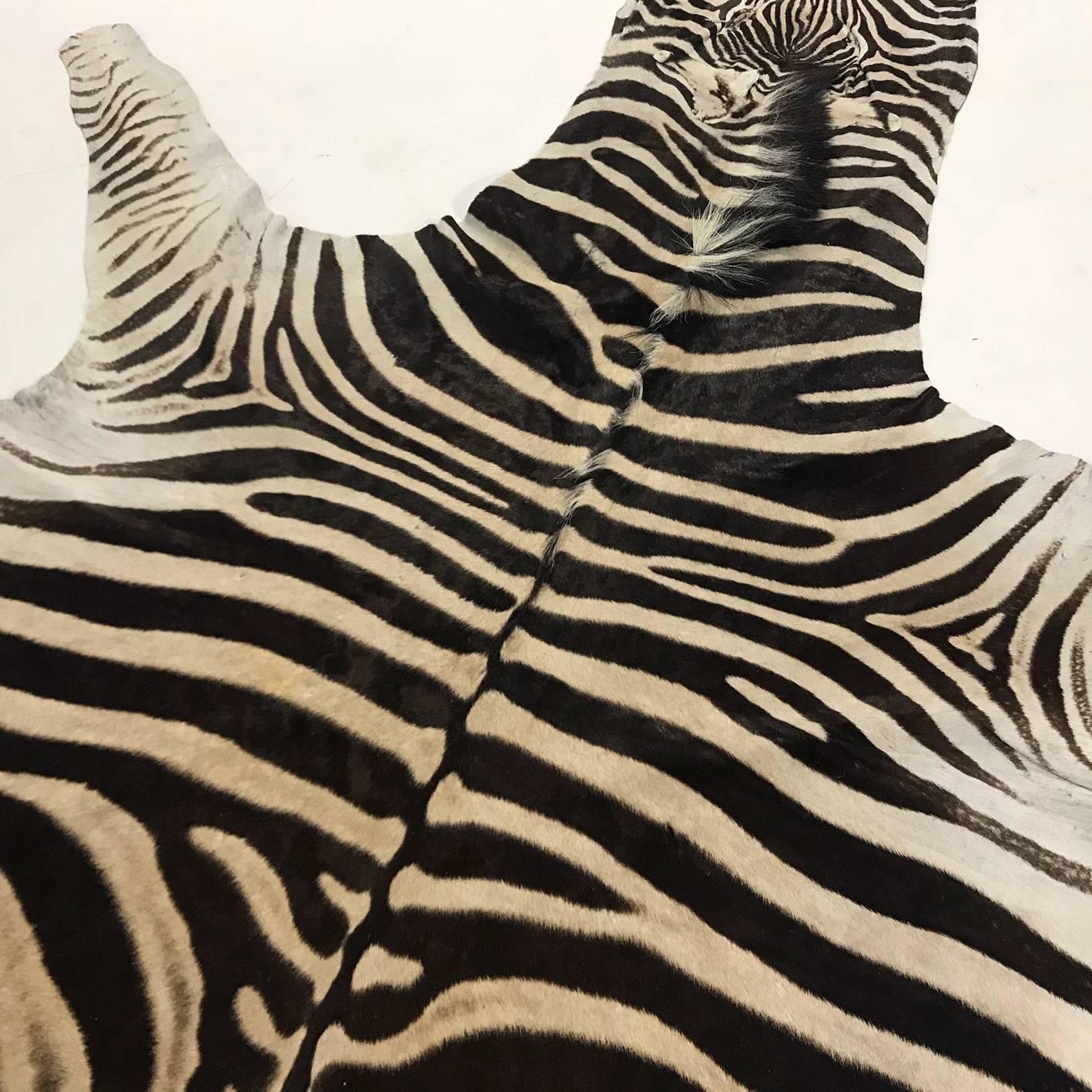 South African Authentic Zebra Hide Rug