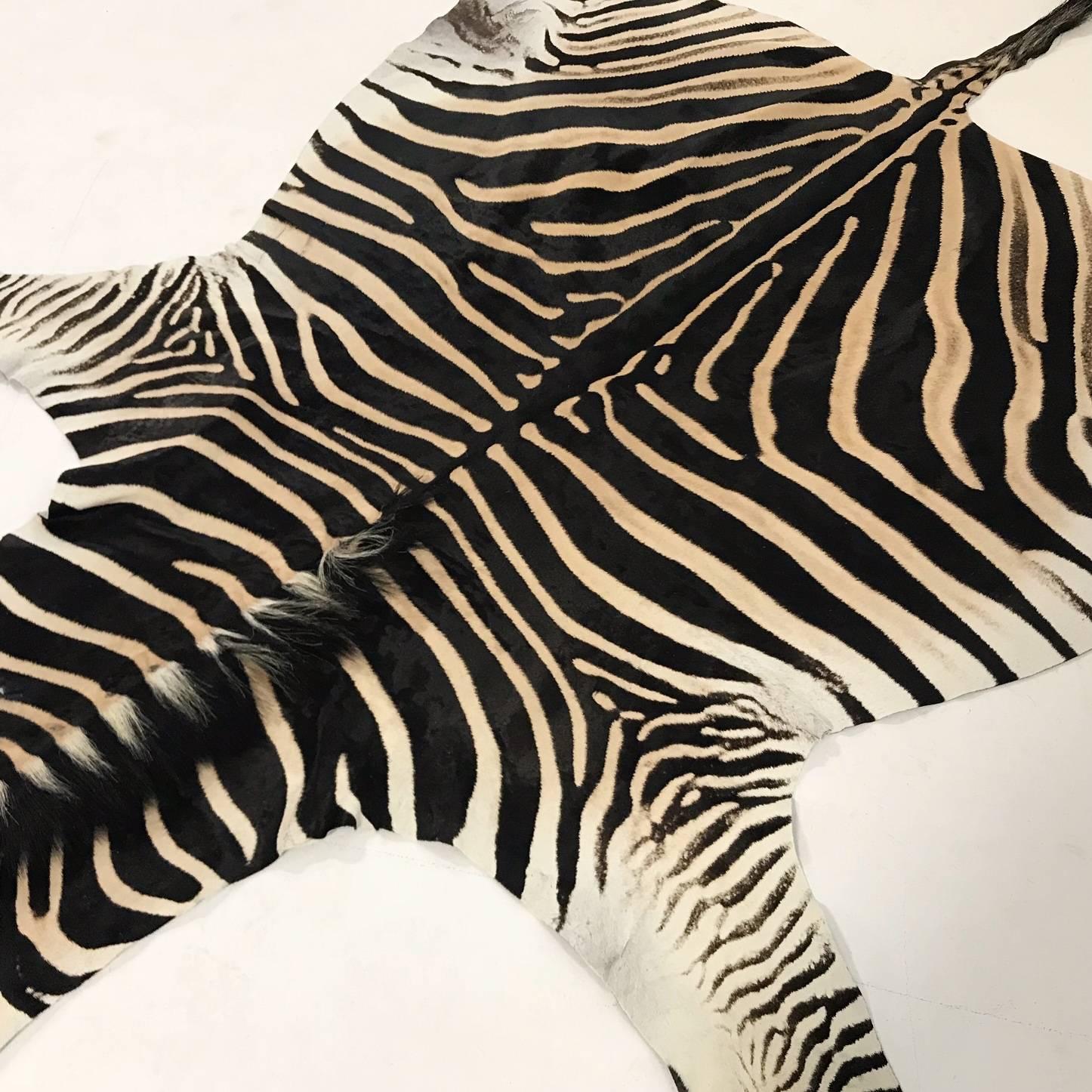 Authentic Zebra Hide Rug at 1stDibs