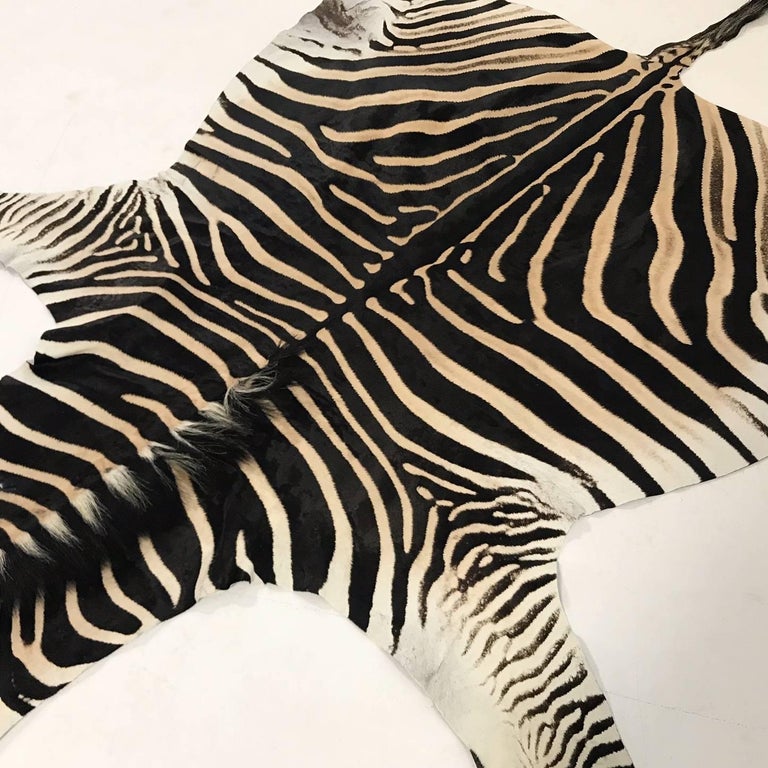 Authentic Zebra Hide Rug at 1stDibs