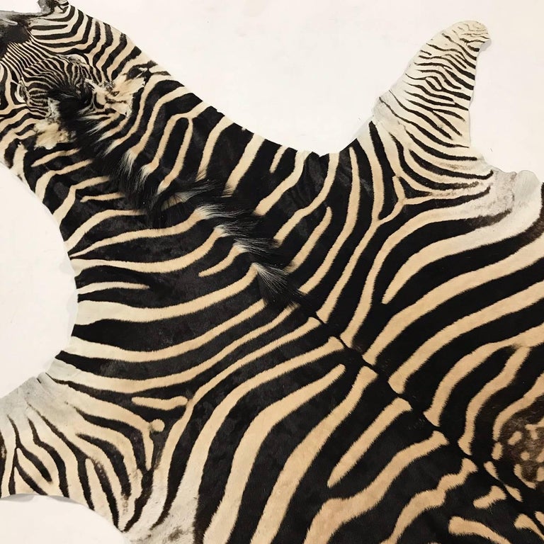 Authentic Zebra Hide Rug For Sale at 1stdibs