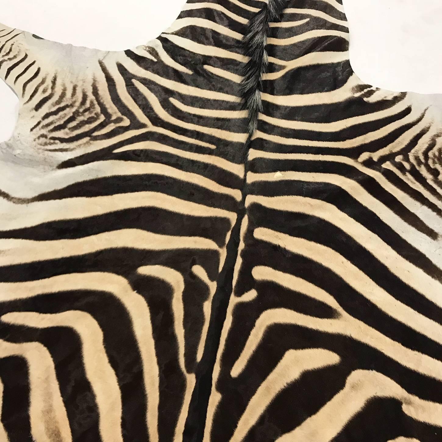 Authentic Zebra Hide Rug In Excellent Condition In SAINT LOUIS, MO