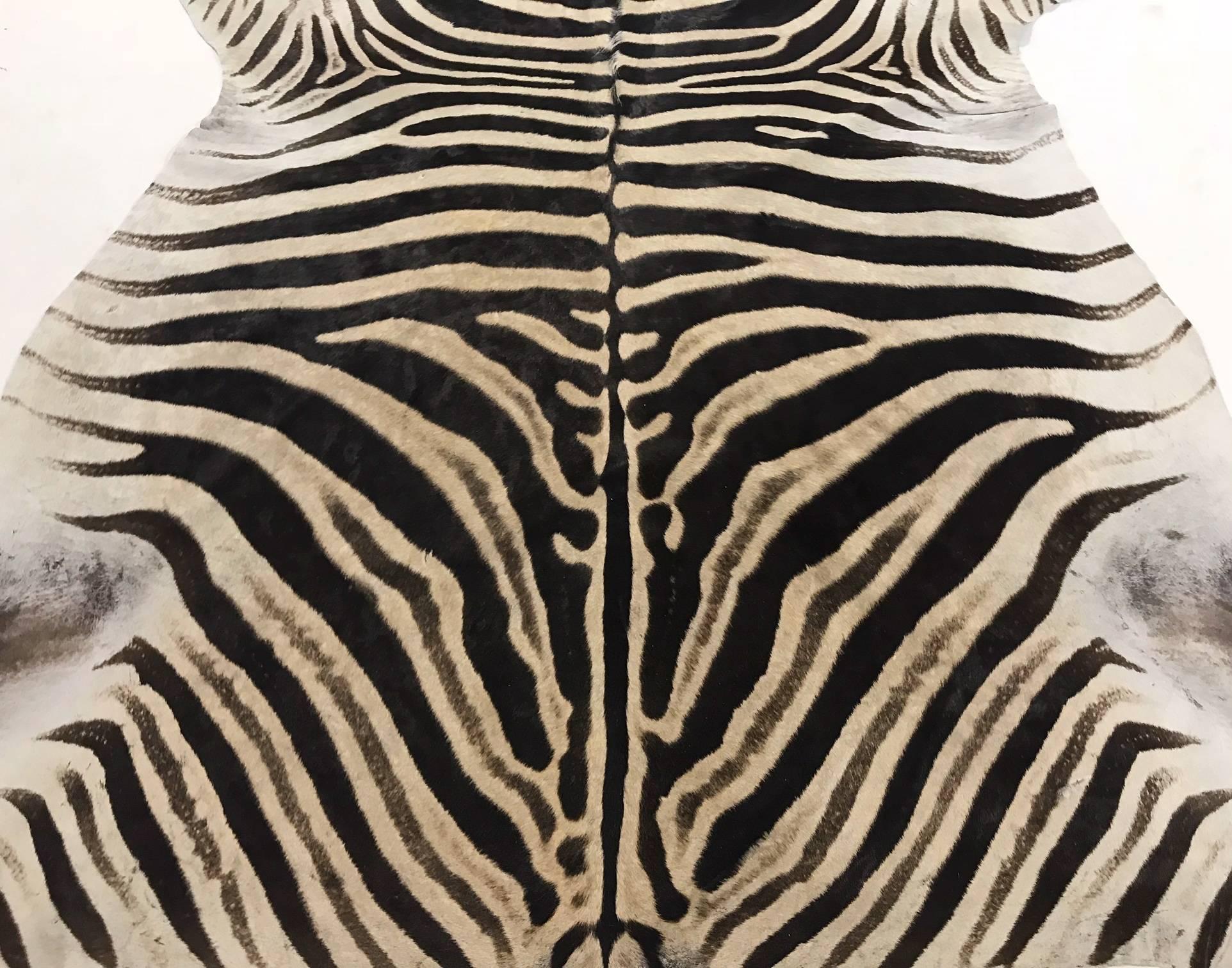 Authentic Zebra Hide Rug In Excellent Condition In SAINT LOUIS, MO