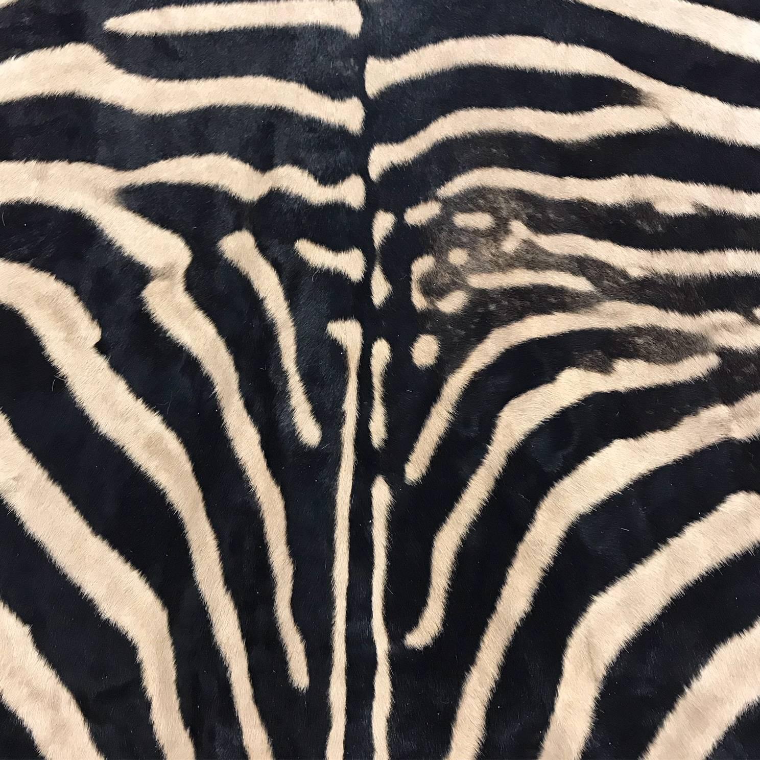 Contemporary Authentic Zebra Hide Rug