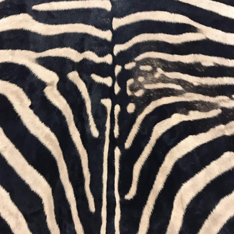 Authentic Zebra Hide Rug For Sale at 1stdibs