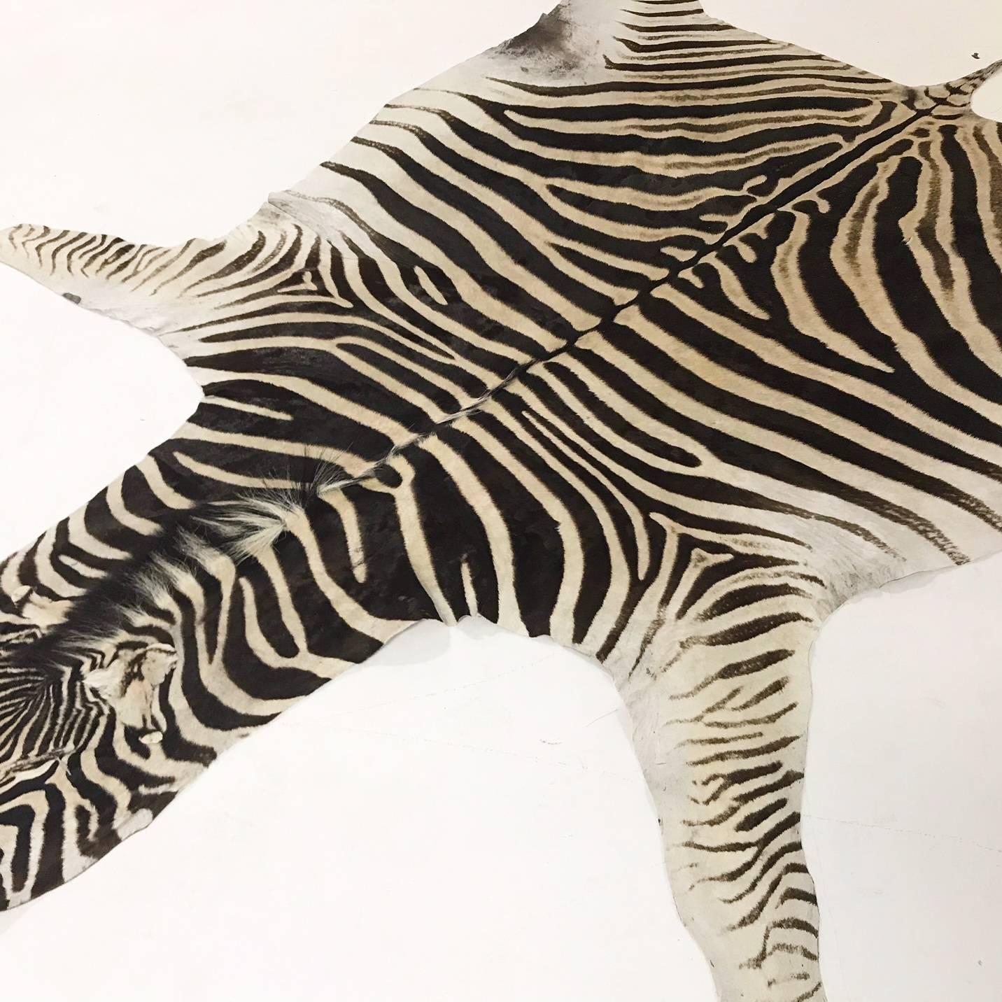 Contemporary Authentic Zebra Hide Rug