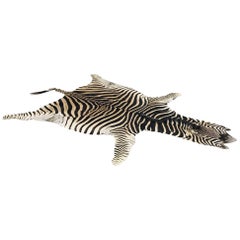 Authentic Zebra Hide Rug