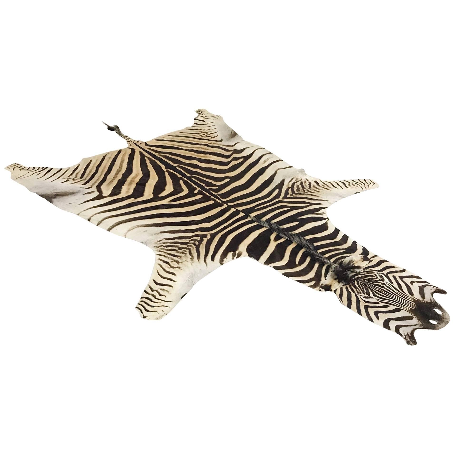 Authentic Zebra Hide Rug at 1stDibs
