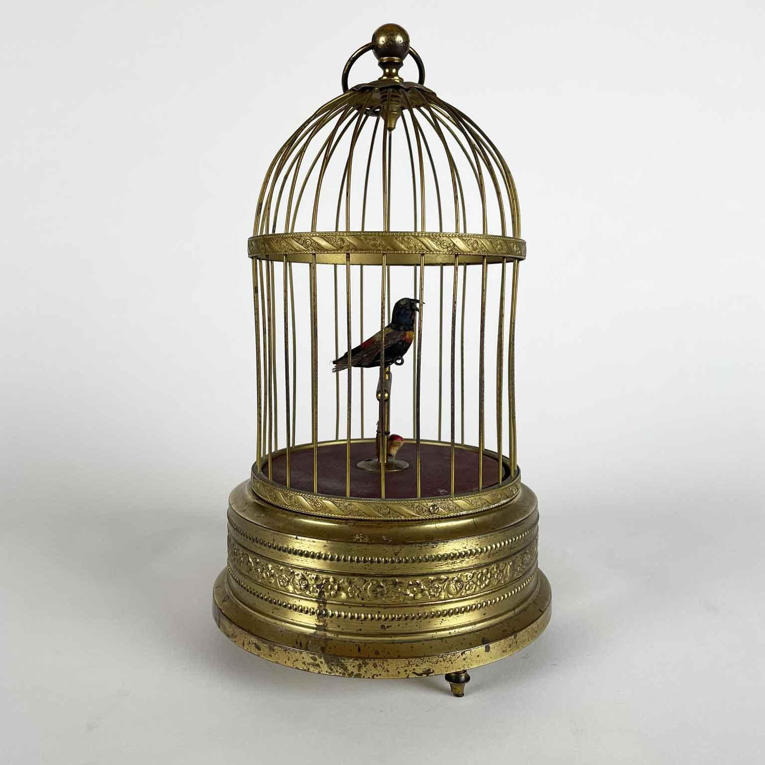 Automa Animato Tedesco Gabbia Con Uccellino del 1920 circa costituito da una gabbia rotonda in ottone dorato con al suo interno un uccello animato canterino su di un trespolo con un fungo alla base. Une curiosité de Wunderkammer, les automates, les