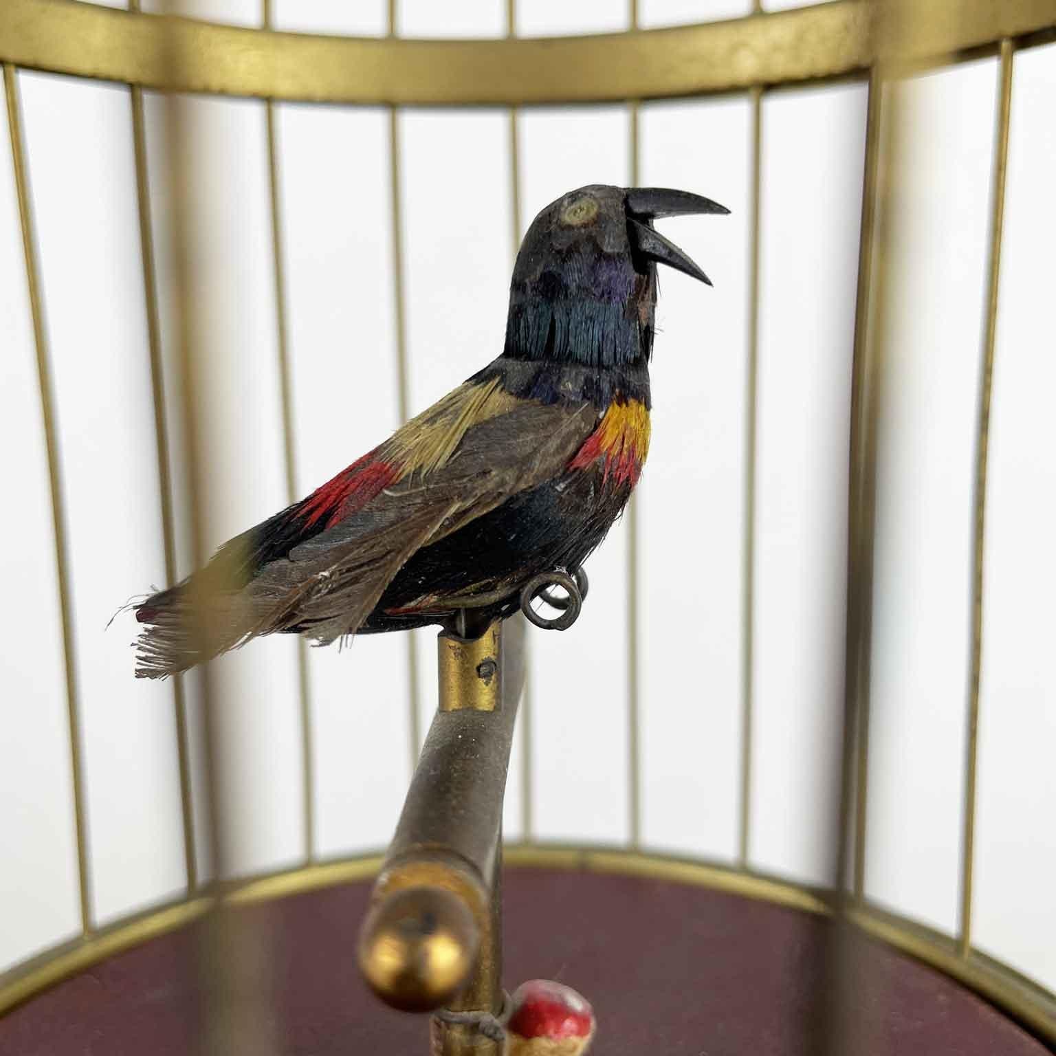 German Automa Tedesco Gabbia Con Uccello Cantante e Animato des années 1920 Karl Griesbaum en vente