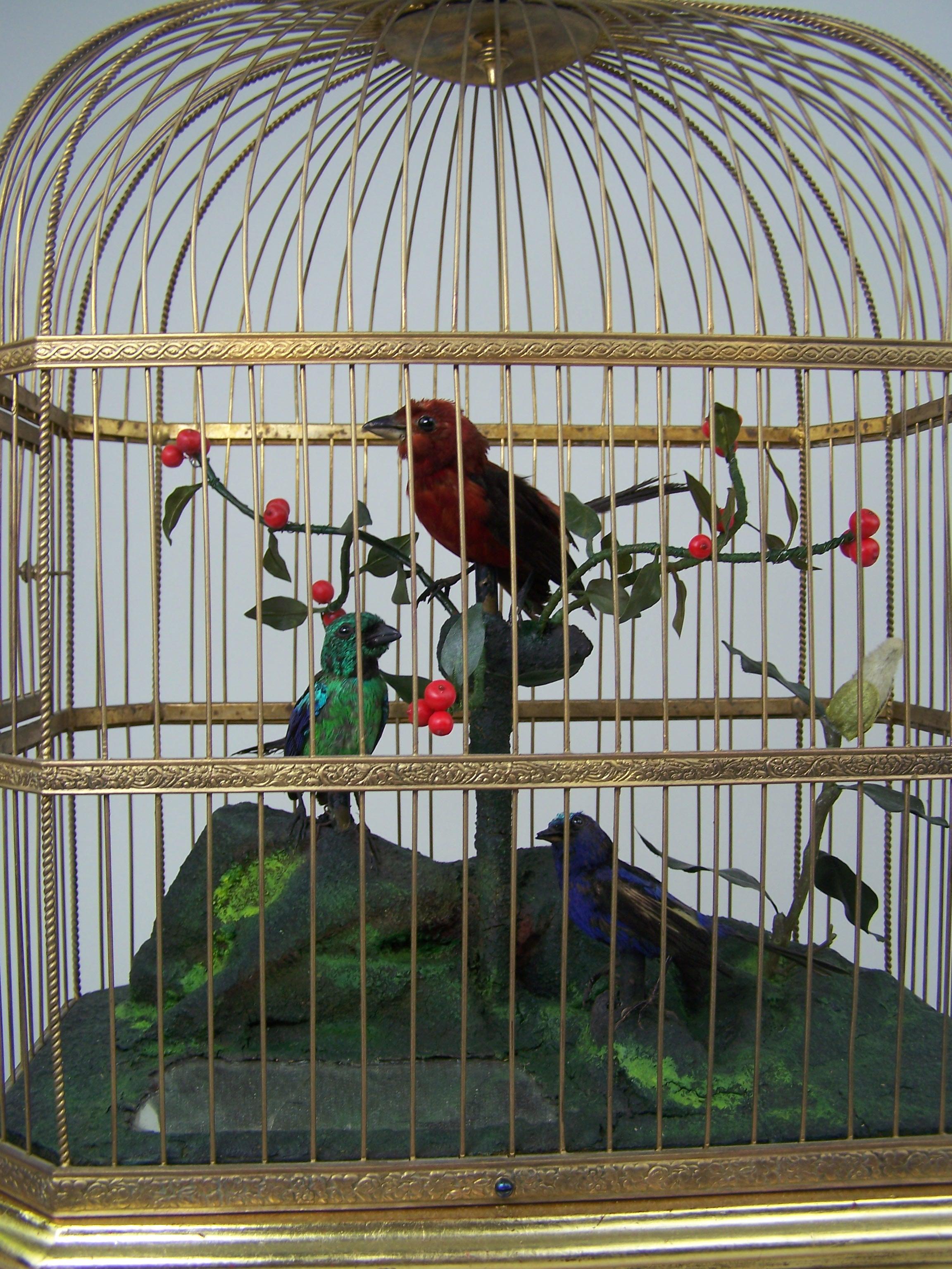 Singing Bird Cage by Bontems  For Sale 2