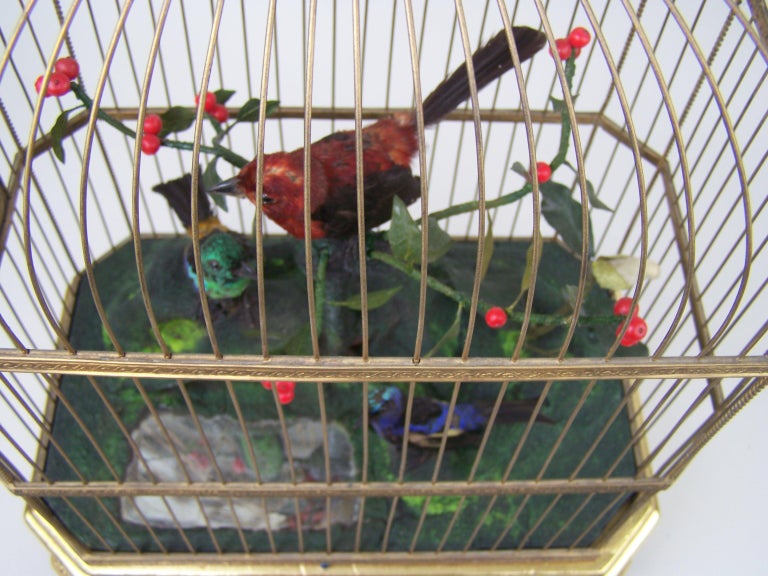 Boîte à Bijoux Décorative Cage à Oiseaux - Alliage, Dimensions 1.57x1.18x2.76 Pouces - Neuve Avec étiquettes