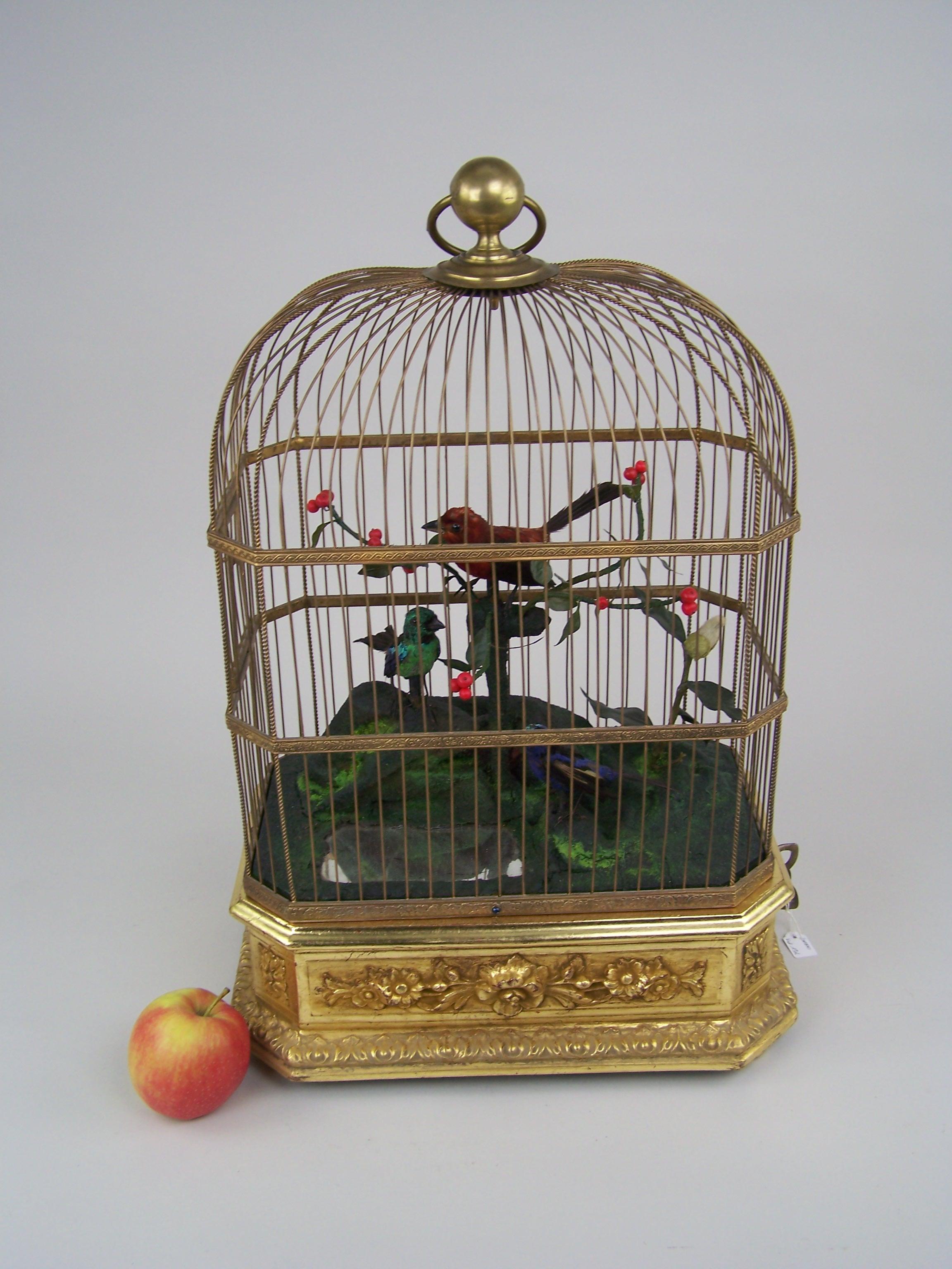 Rare and very decorative singing bird automaton.

Made in de 4th quarter of the 19th century by Bontems in Paris (France).

This top quality singing bird has a wooden gilded base to conseal the mechanism. In the cage there are 3 original birds in a