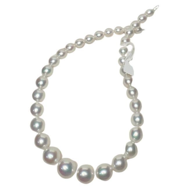 Autore Australian South Sea  Pearl Strand Necklace