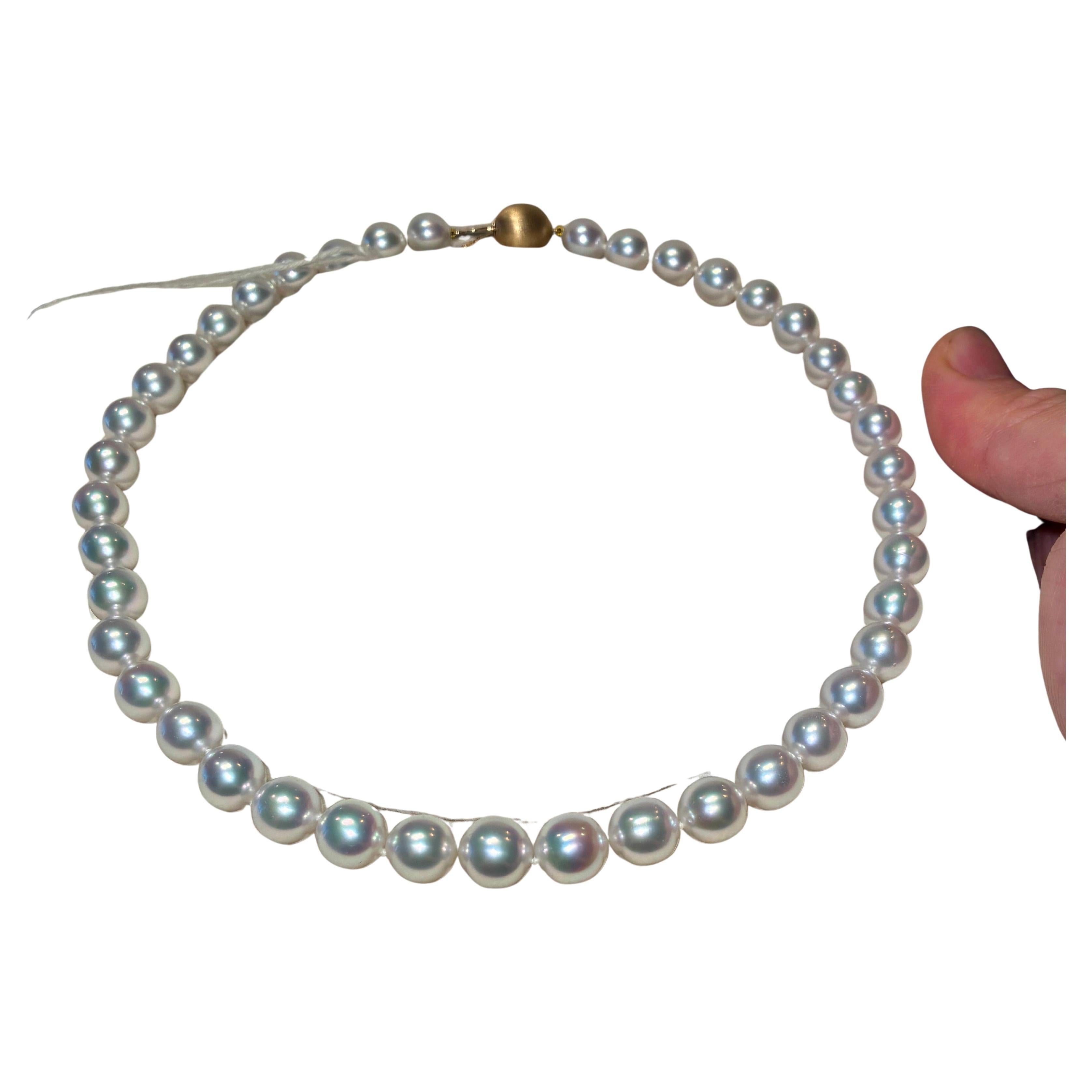 Autore Australian South Sea Pearl Strand Necklace