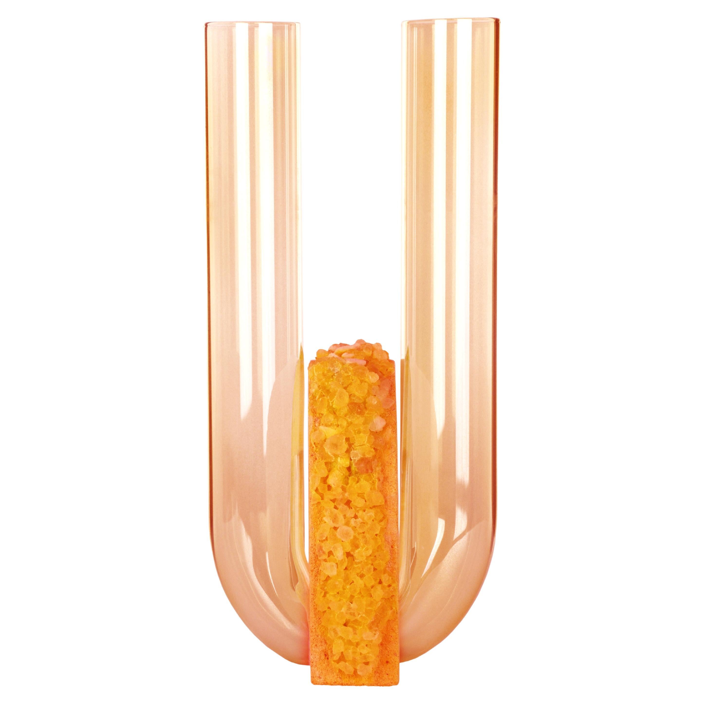 Cochlea Della Liberazione Seasons Edition Vase von Coki Barbieri, Herbst/Sommer im Angebot