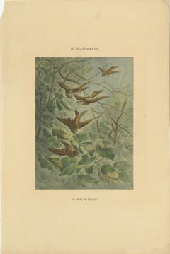 Autumn Flight - Giacomelli’s Sparrows in Falling Leaves, Circa 1891