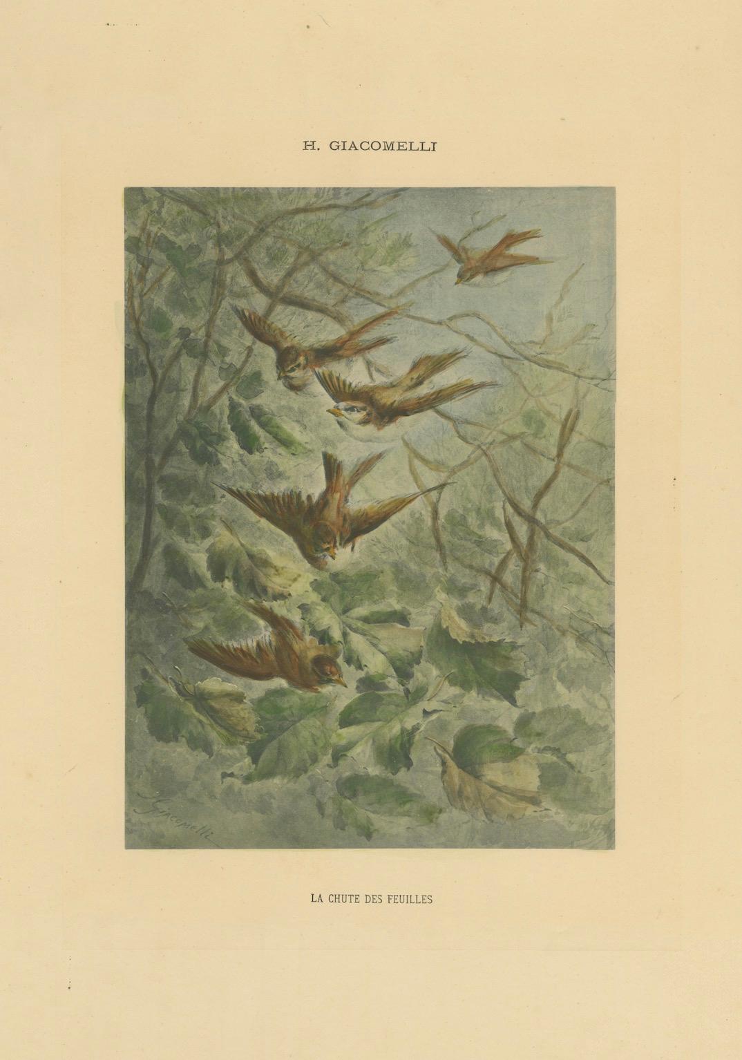 Autumn Flight - Giacomelli’s Sparrows in Falling Leaves, Circa 1891 For Sale 1